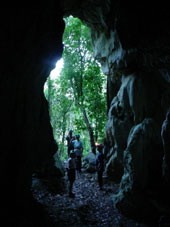 20061017155216-cuevas-pinar.jpg